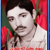 محبت اله صفری.jpg